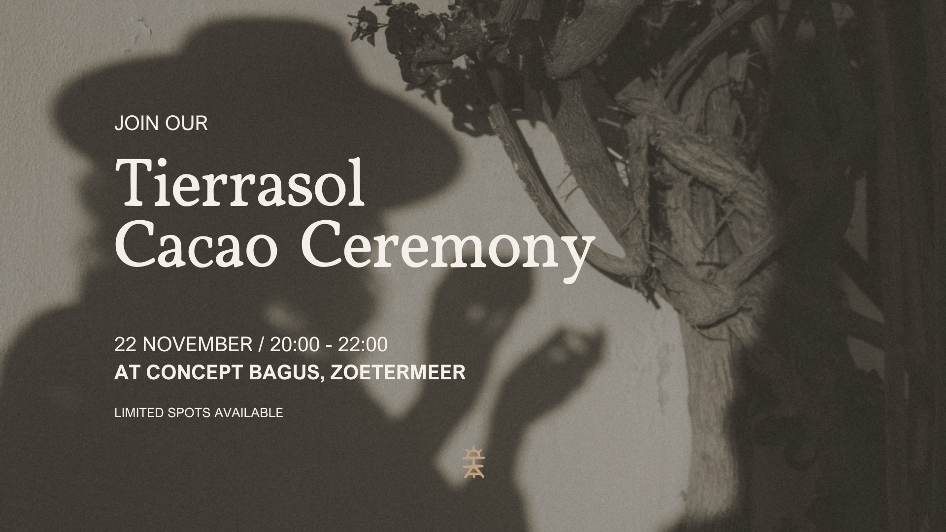 cacao ceremonie tierrasol